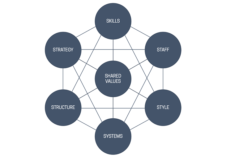 The McKinsey 7-S Framework